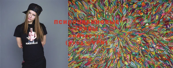 индика Заволжье