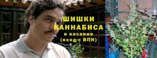 ECSTASY Заводоуковск