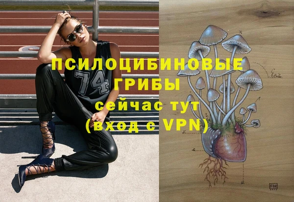 каннабис Зерноград